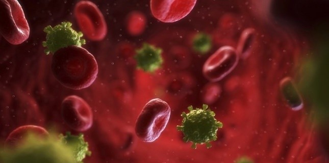 Une voie d’entrée du VIH identifiée chez l’homme